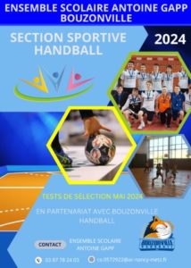 Section Handball