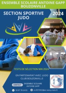 Section Judo