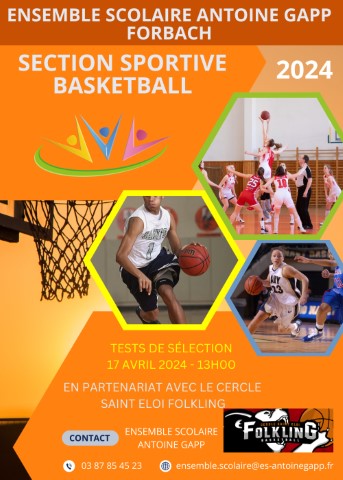 Section Basketball