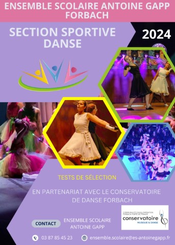 Section Danse