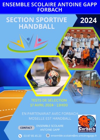 Section Handball