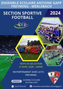 Section Football
