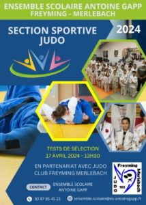 Section Judo